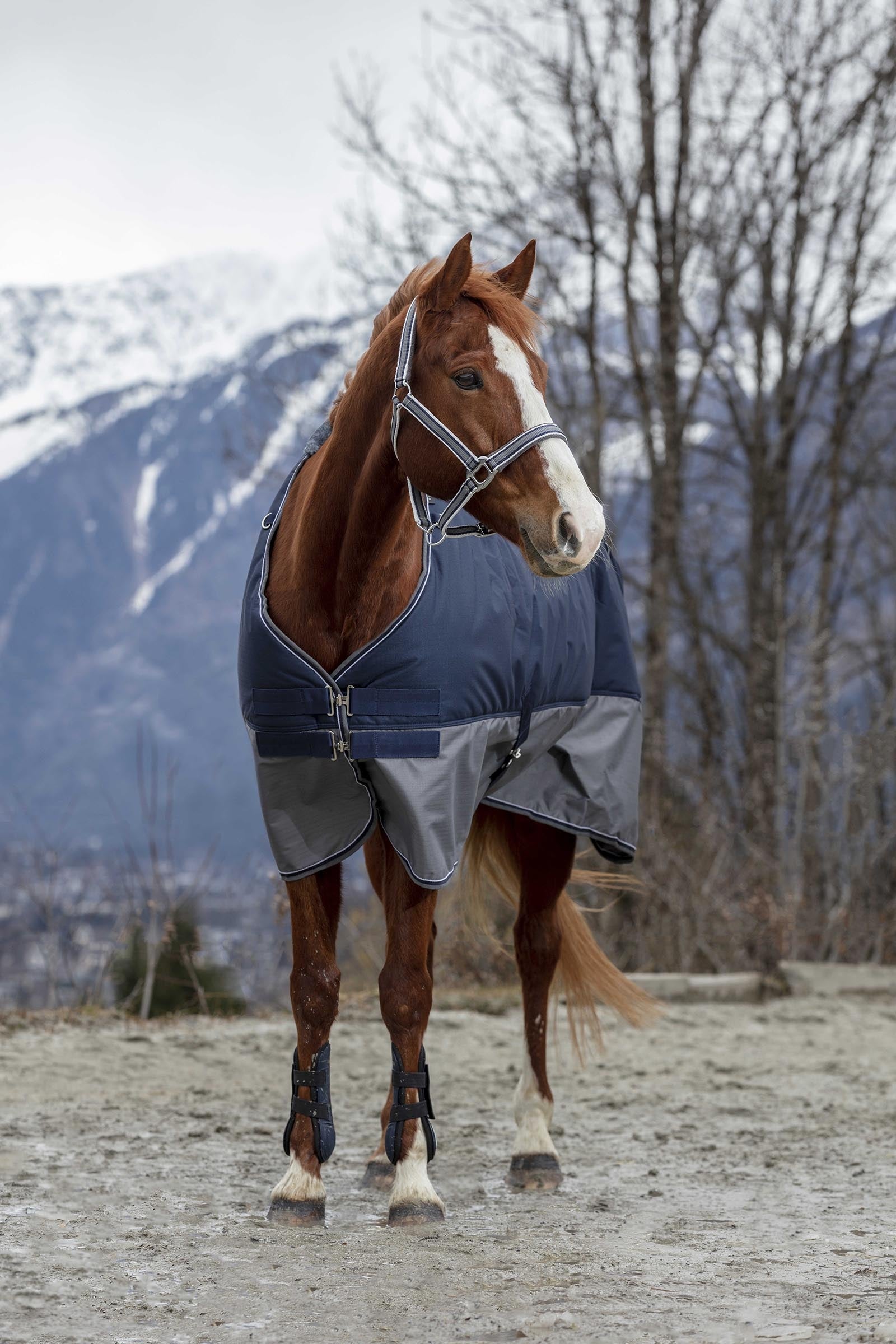 EQUITHÈME TYREX 600D Turnout Rug, 0 g Horse Rugs