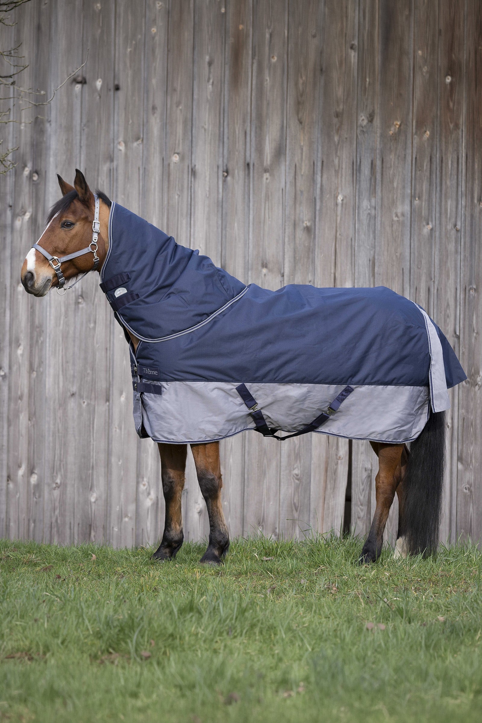 EQUITHÈME TYREX 600D Turnout Rug, 0 g Horse Rugs