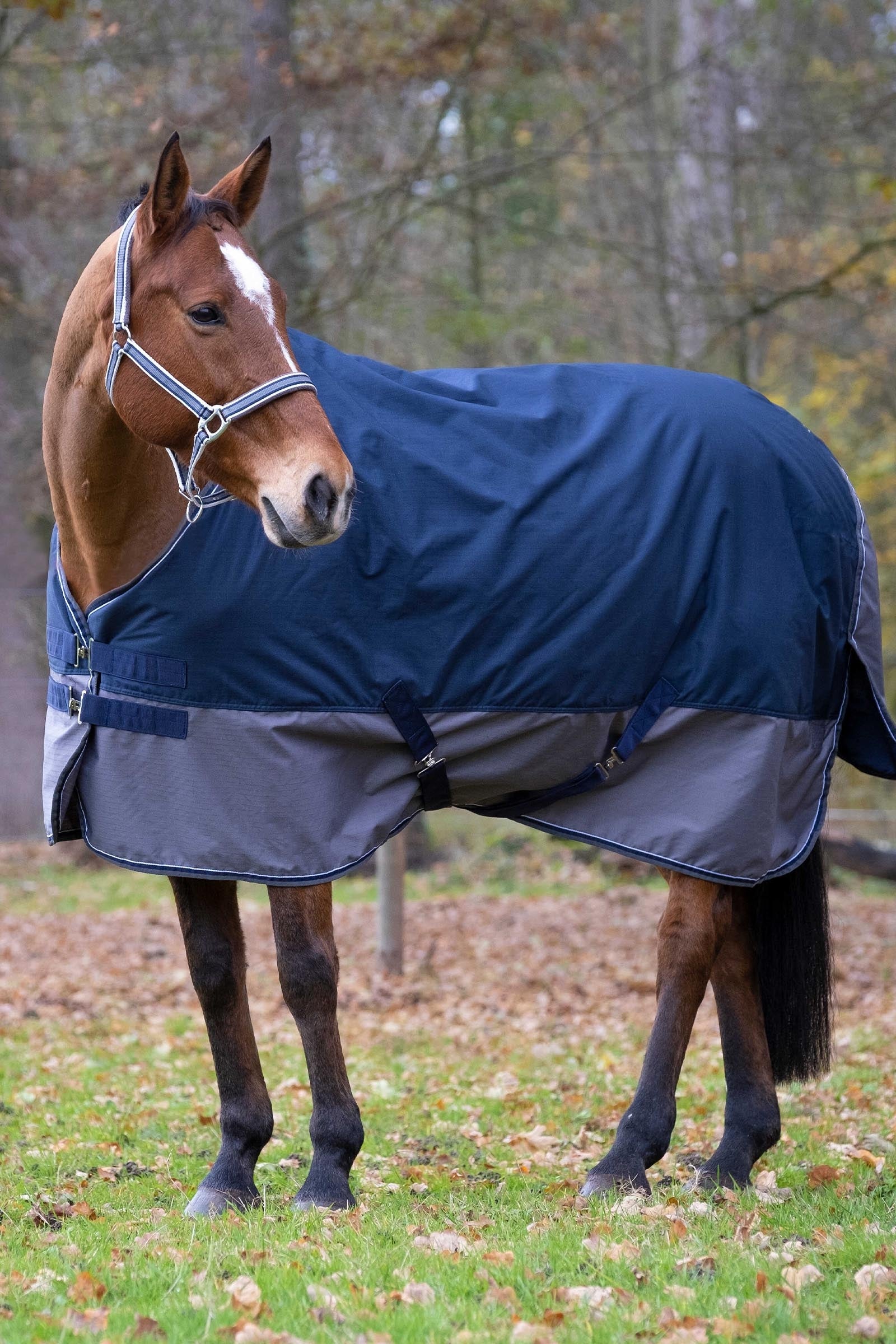 EQUITHÈME TYREX 600D Turnout Rug, 0 g Horse Rugs