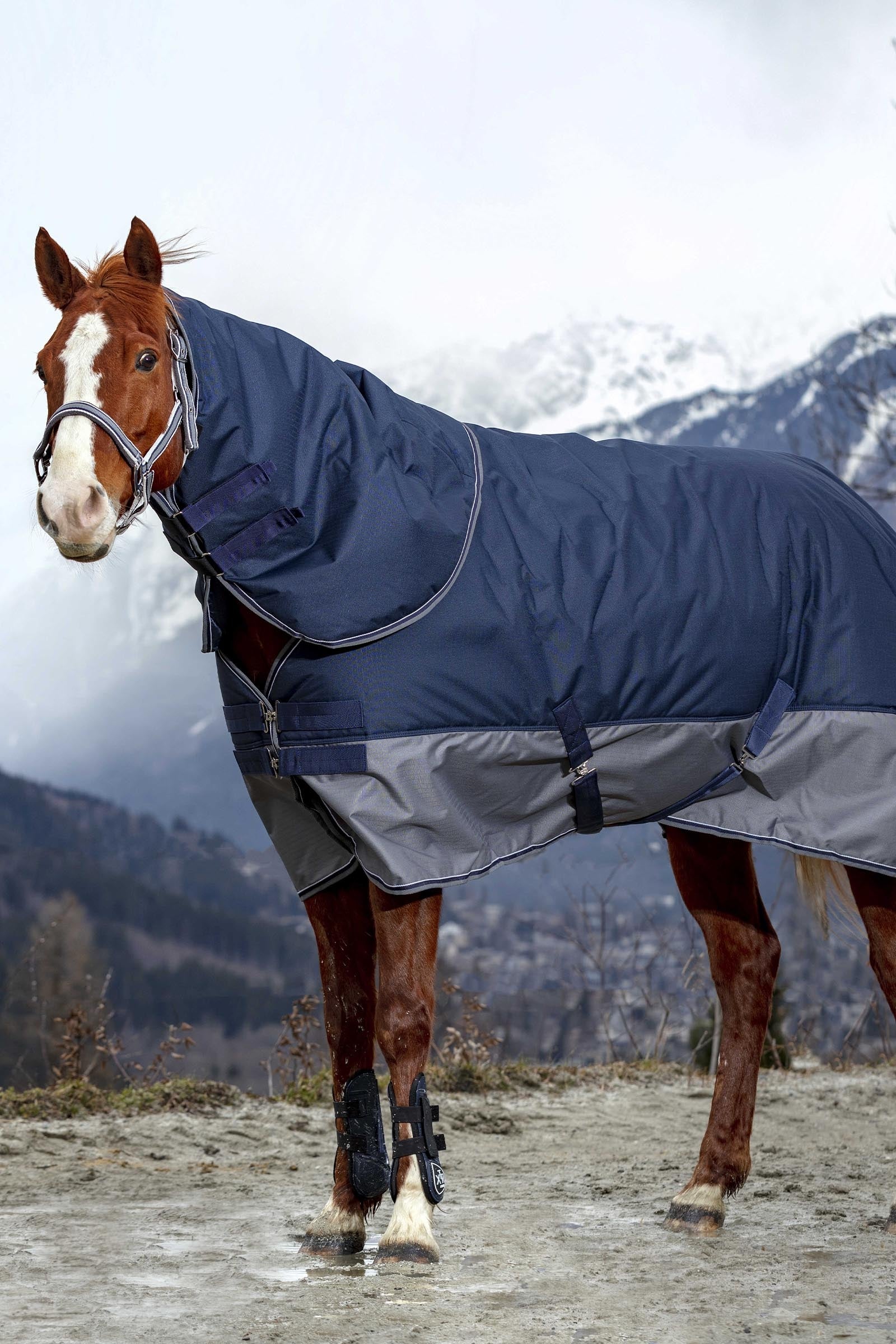 EQUITHÈME TYREX 600D Turnout Rug, 0 g Horse Rugs