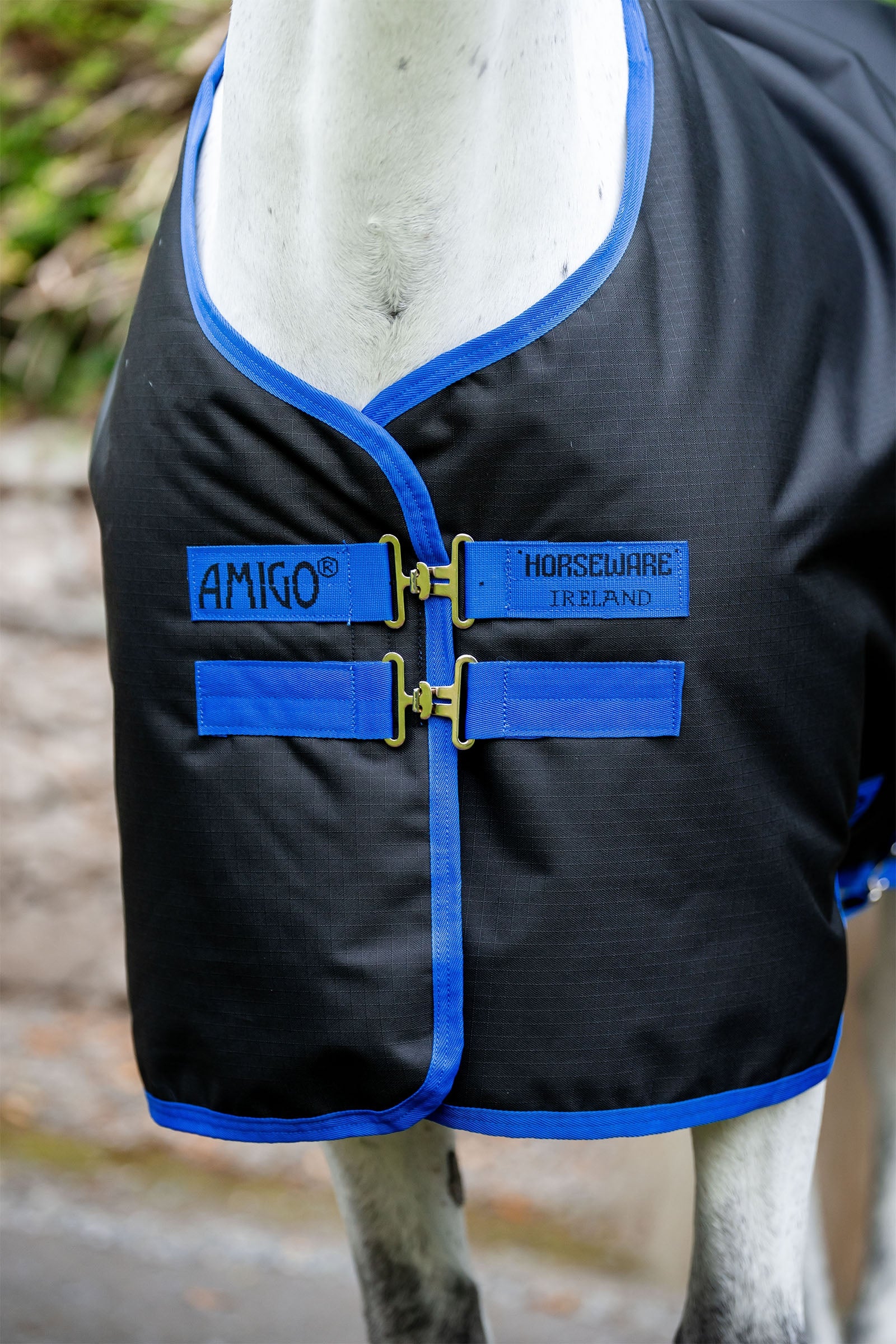 Alt Tag fallback text for IMAGE