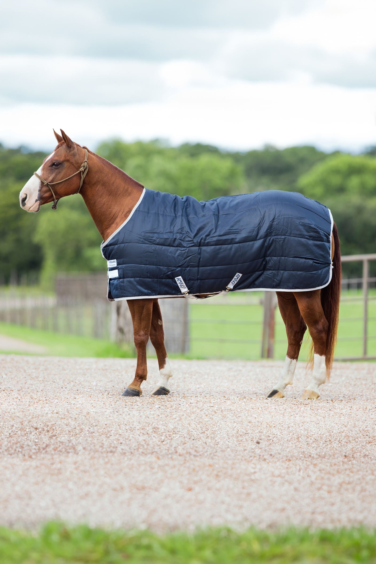 Horseware Amigo Insulator Stable Rug, 200g Horse Rugs