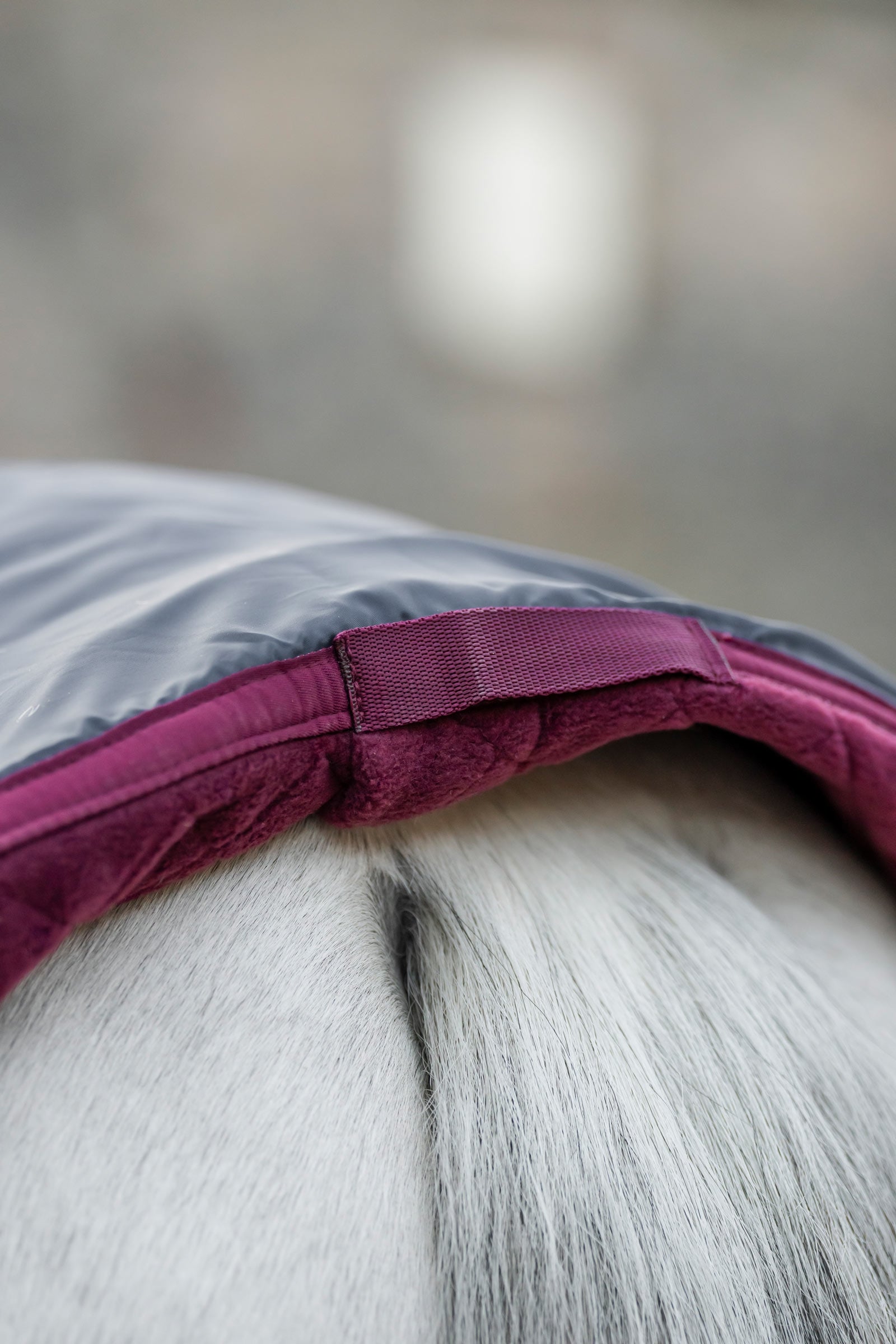 Horseware Signature Travel Cooler Horse Rugs