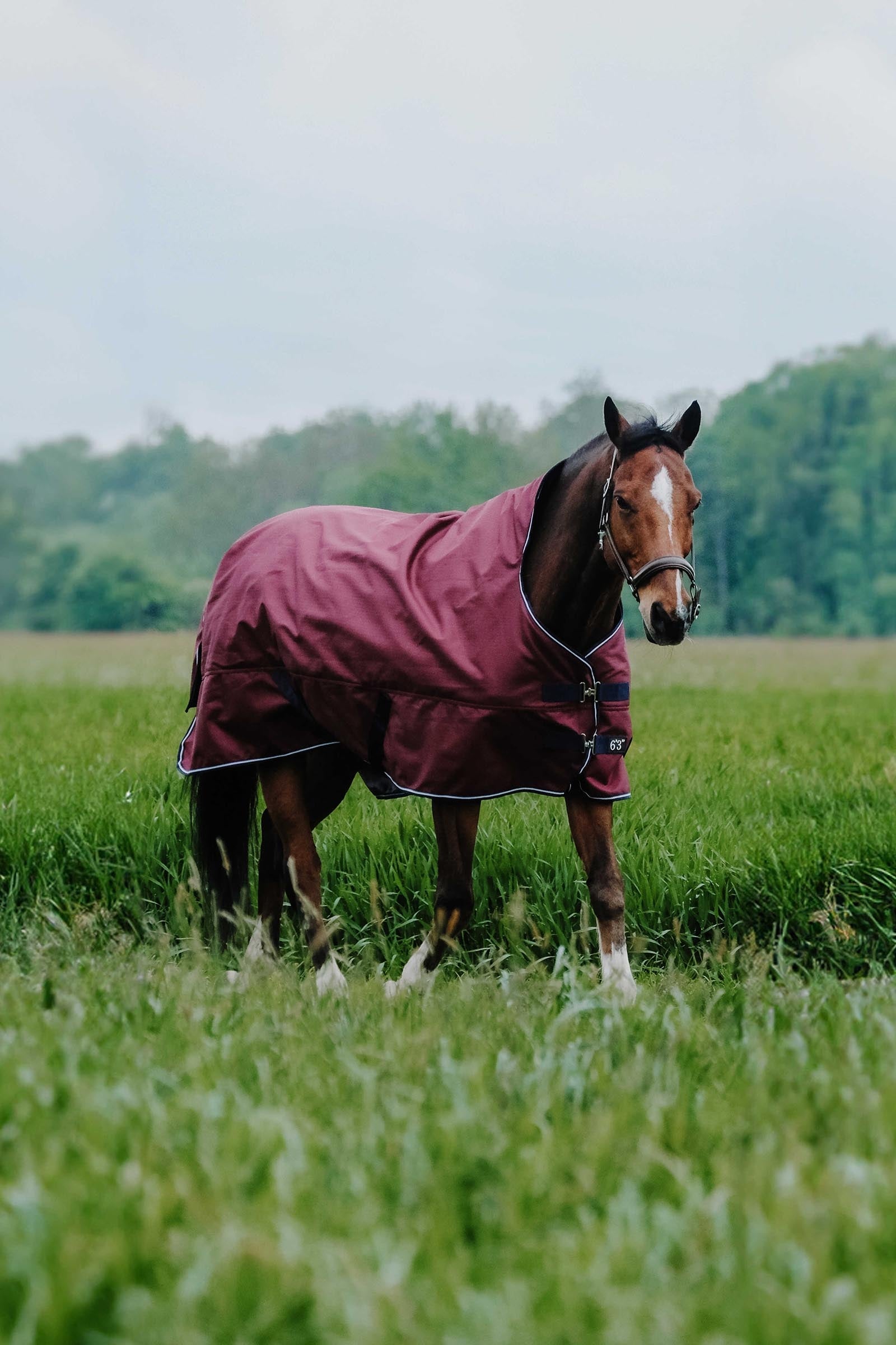 EQUITHÈME TYREX 1200D High Neck Rug, 150 g Horse Rugs