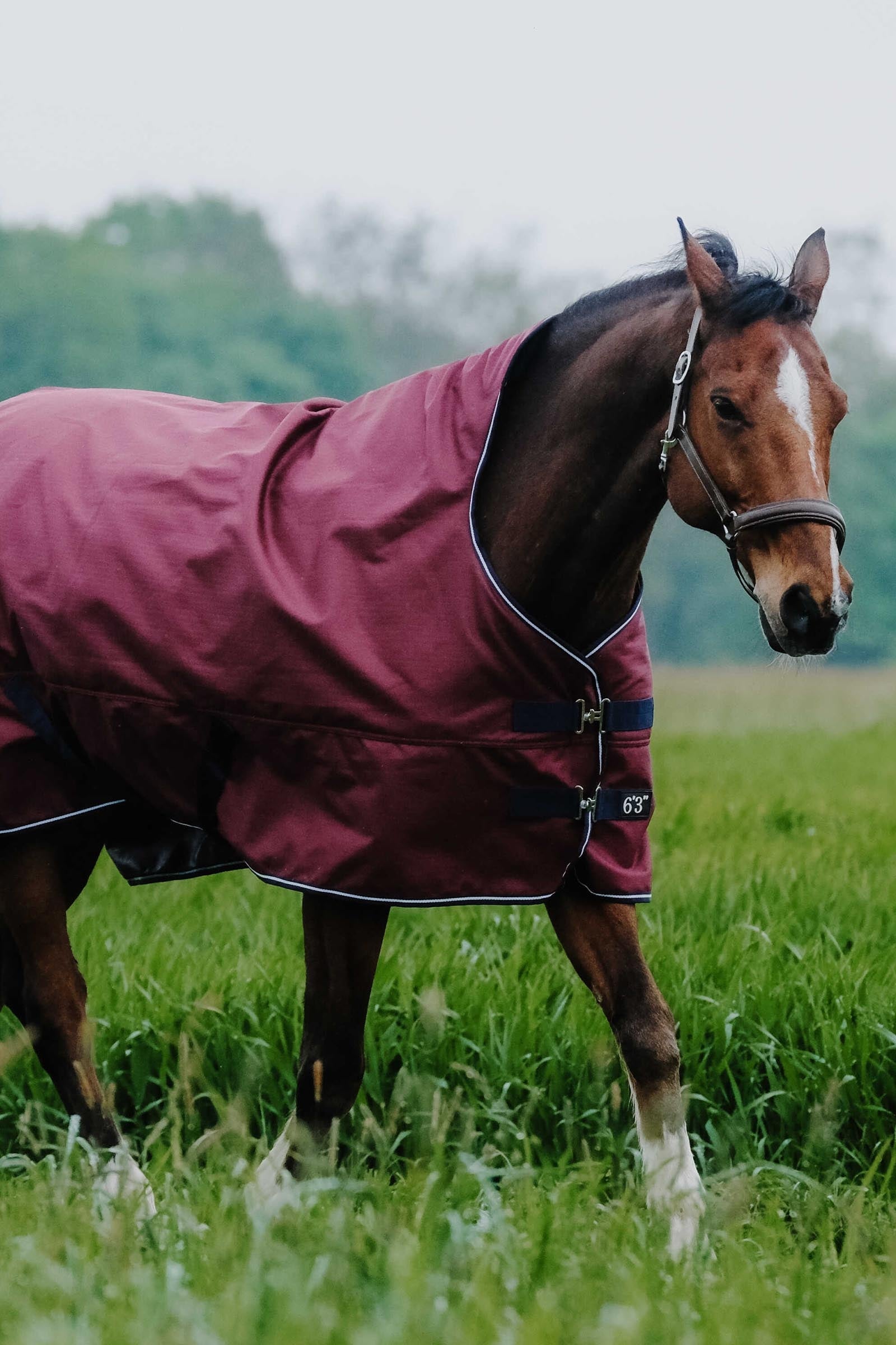 EQUITHÈME TYREX 1200D High Neck Rug, 150 g Horse Rugs