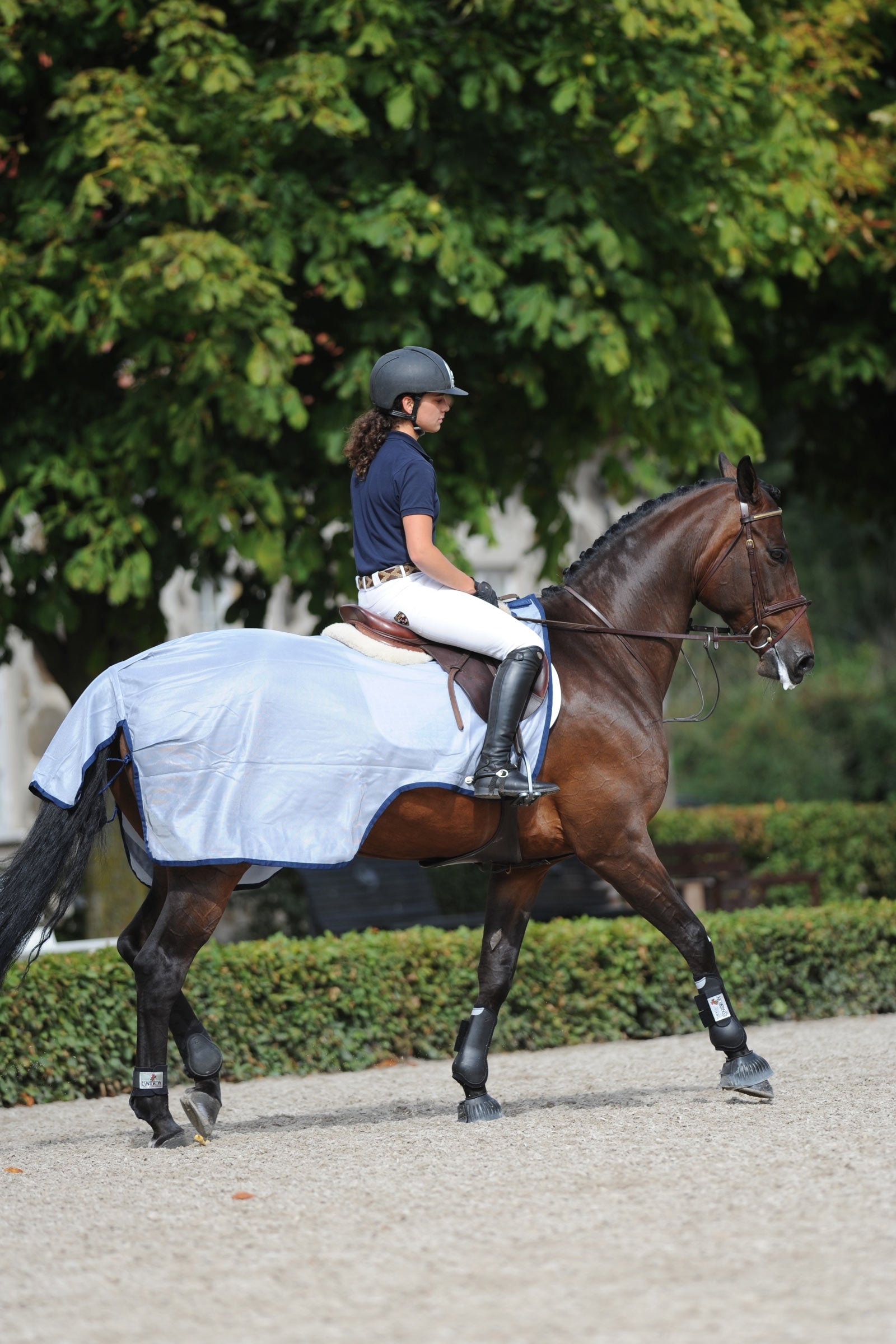 Bucas Buzz-Off Riding Rug Horse Rugs