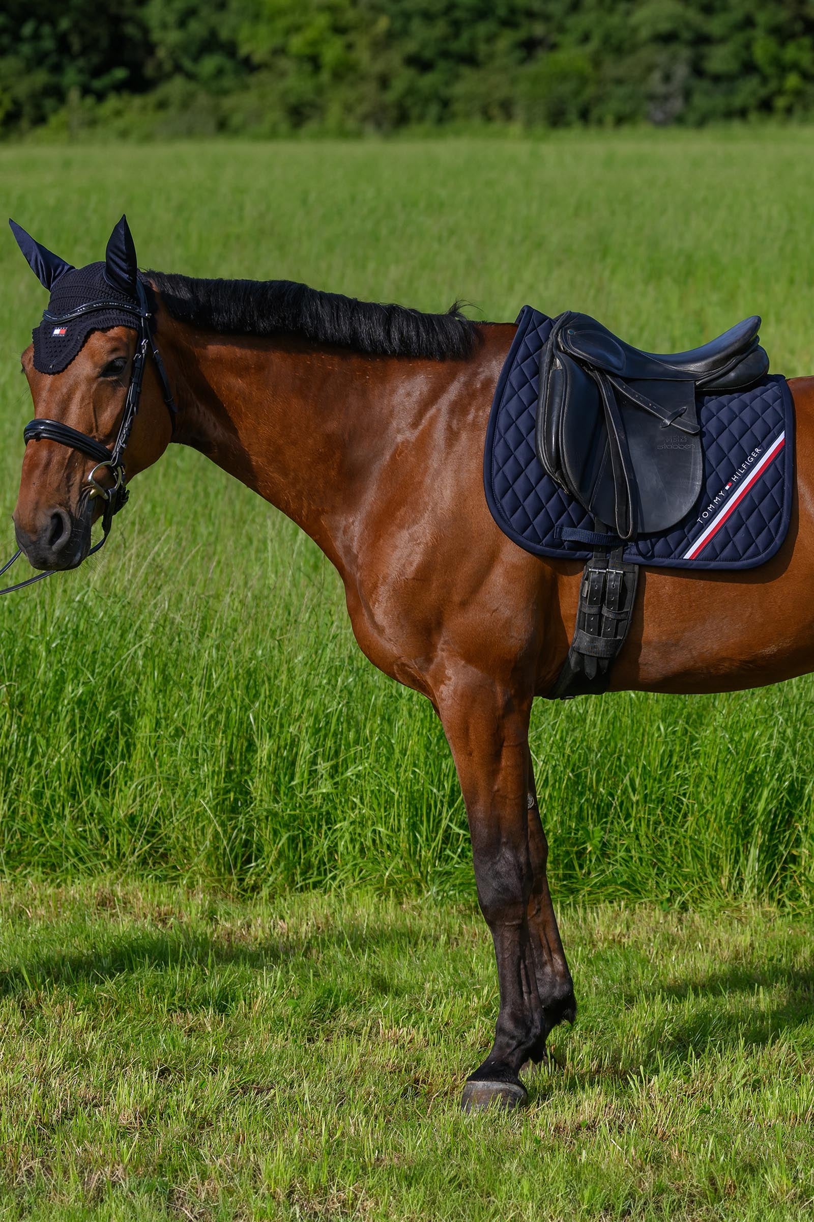 Tommy Hilfiger Equestrian Stanford Dressage Saddlepad Saddle Pads