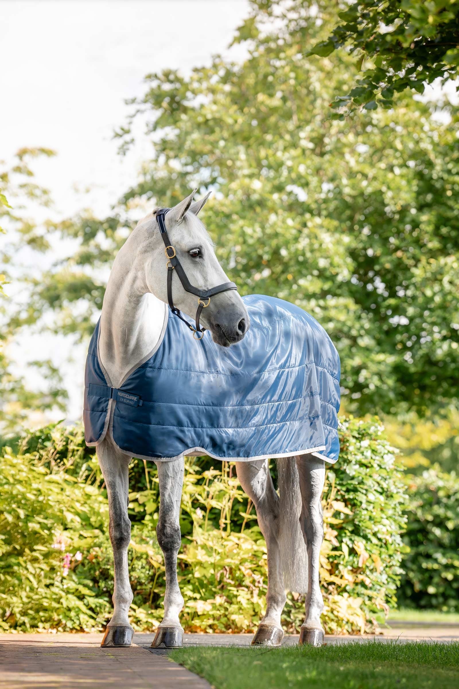 Horseware Ionic Therapy Liner 50g Horse Rugs