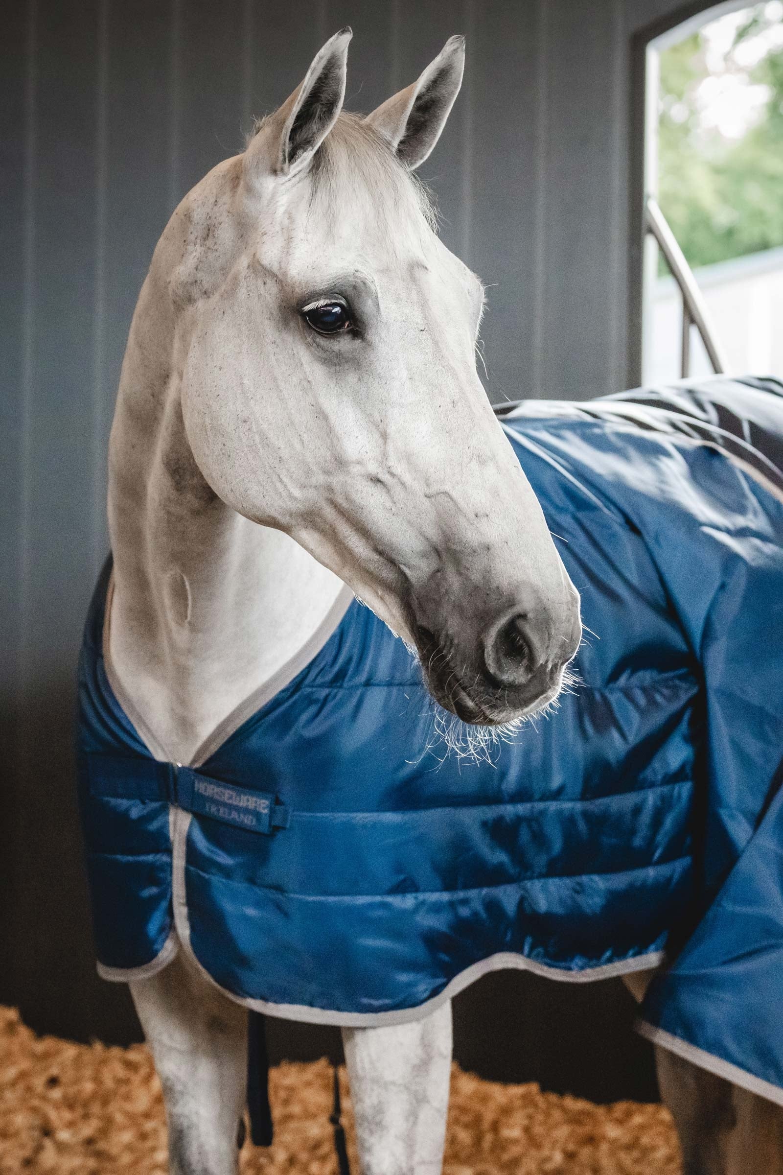 Horseware Ionic Therapy Liner 50g Horse Rugs