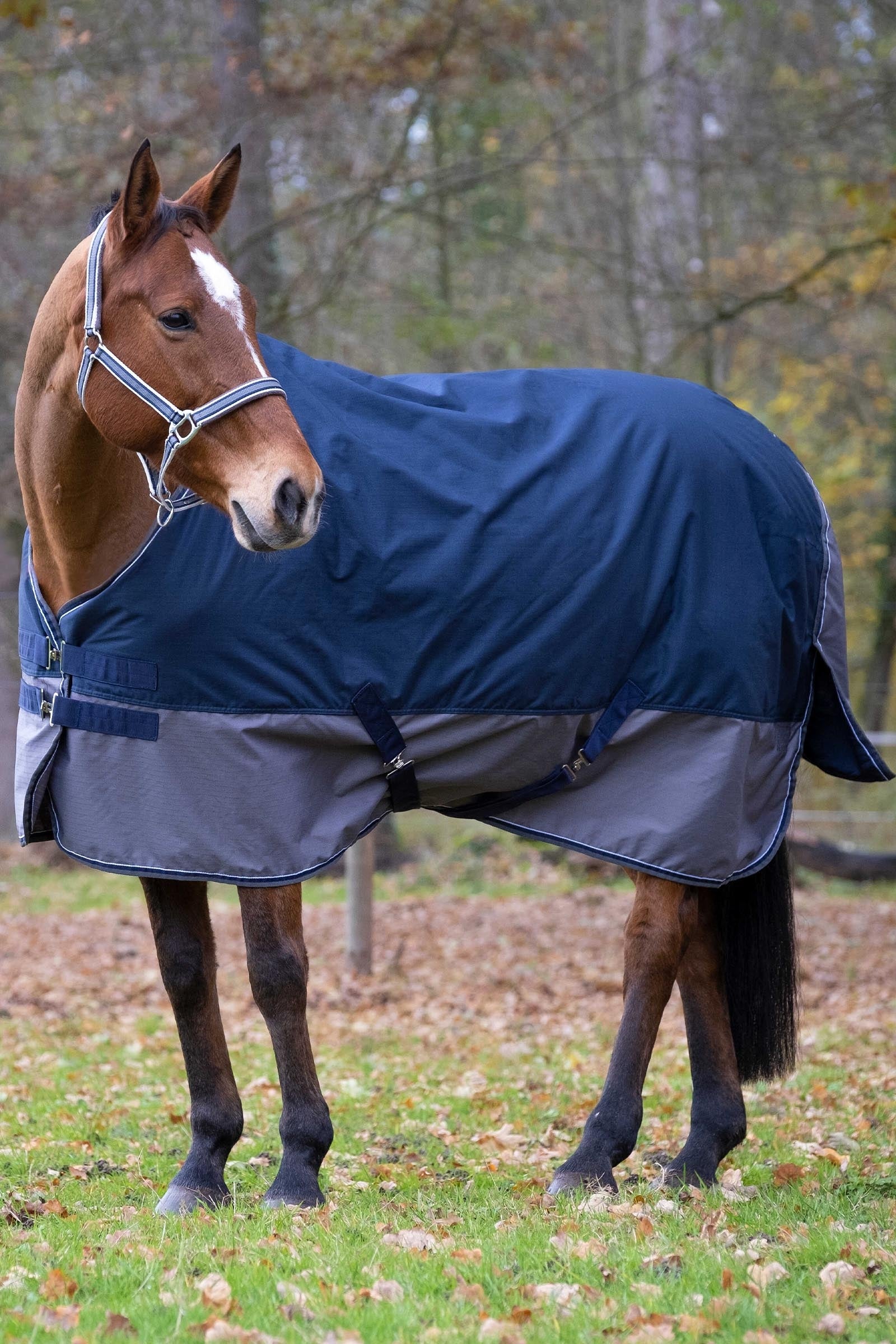 EQUITHÈME TYREX 600D Turnout Rug, 50 g Horse Rugs