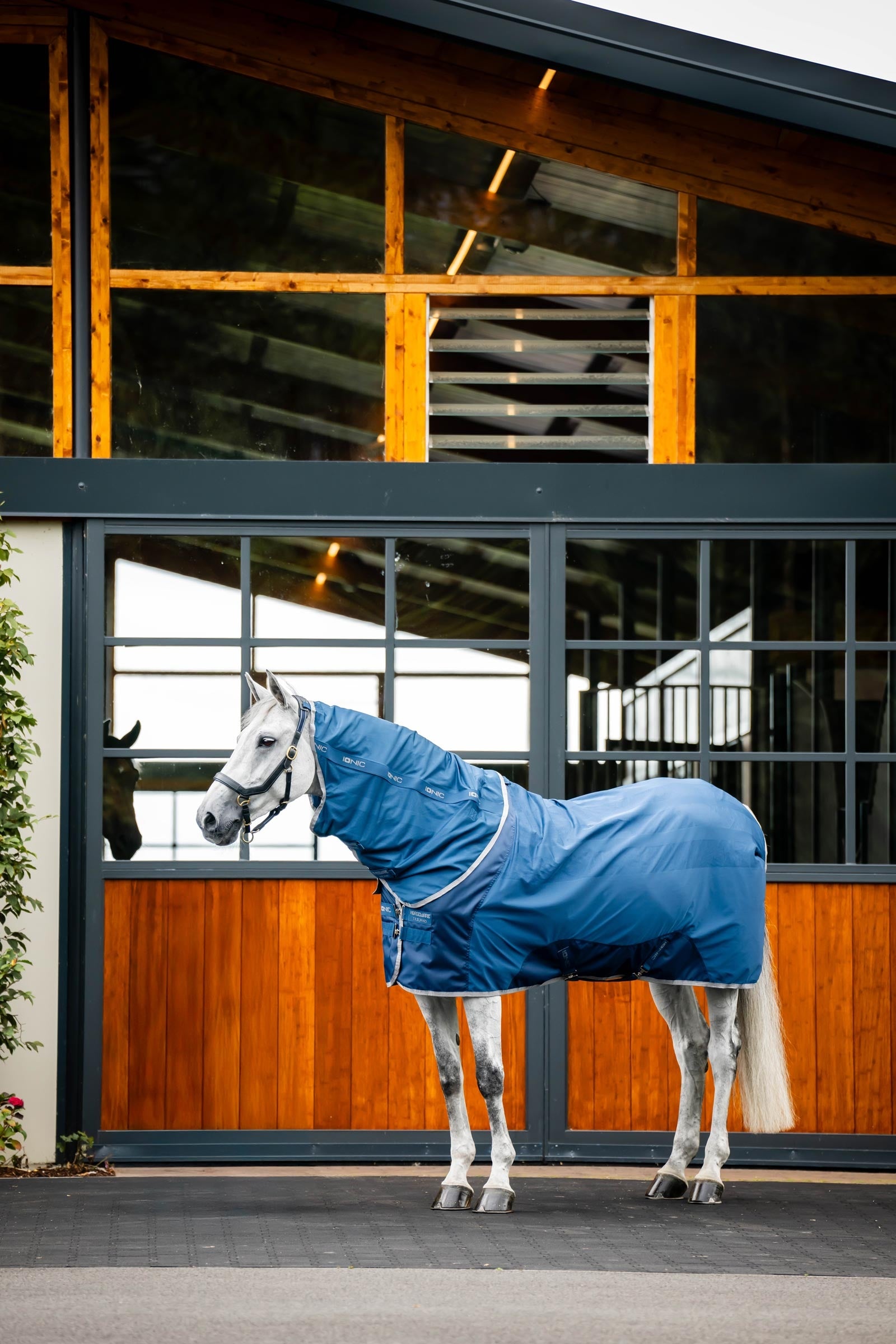 Horseware Ionic Therapy Mesh Cooler Rug Horse Rugs