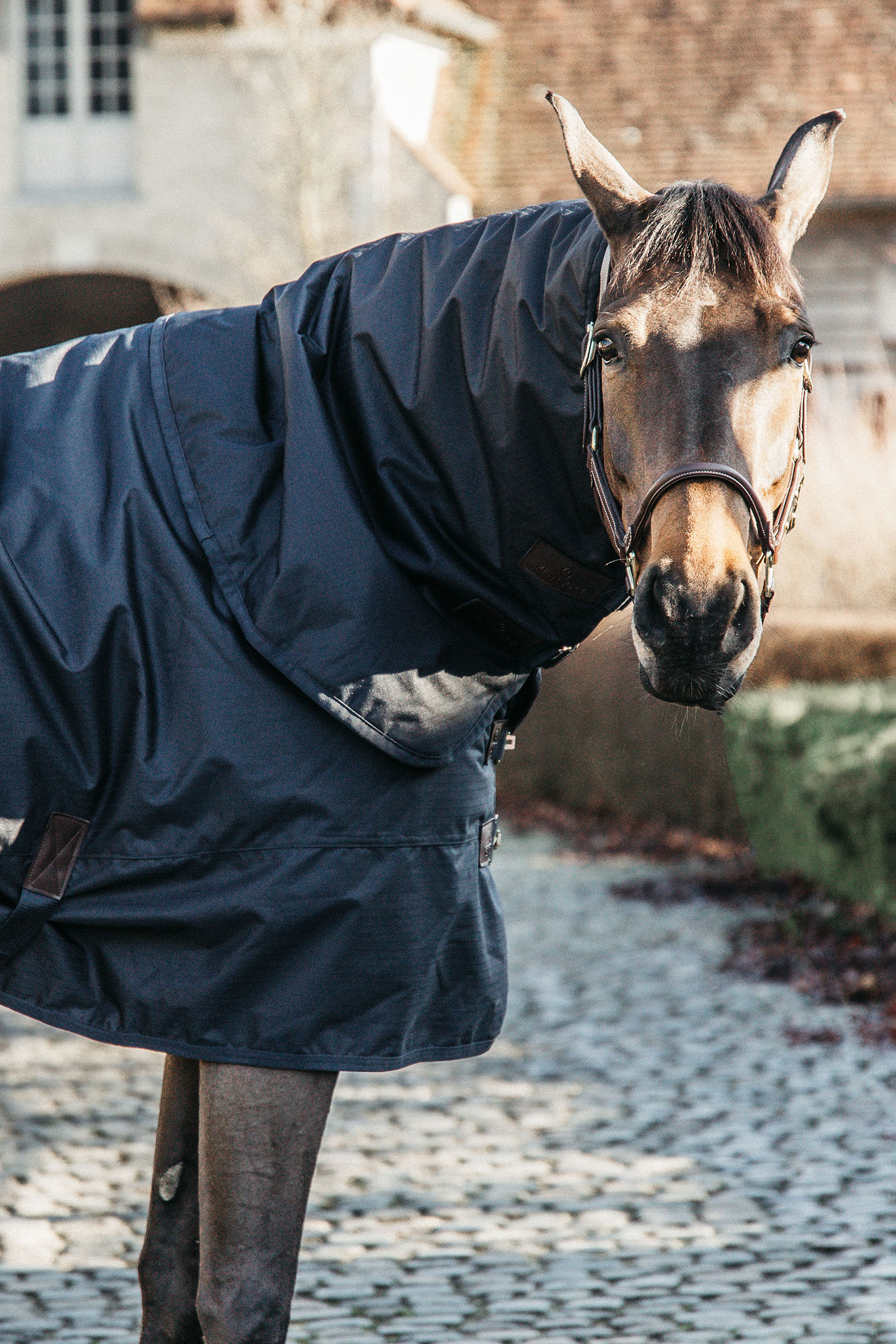 Kentucky Horsewear Under Rug Classic 300g