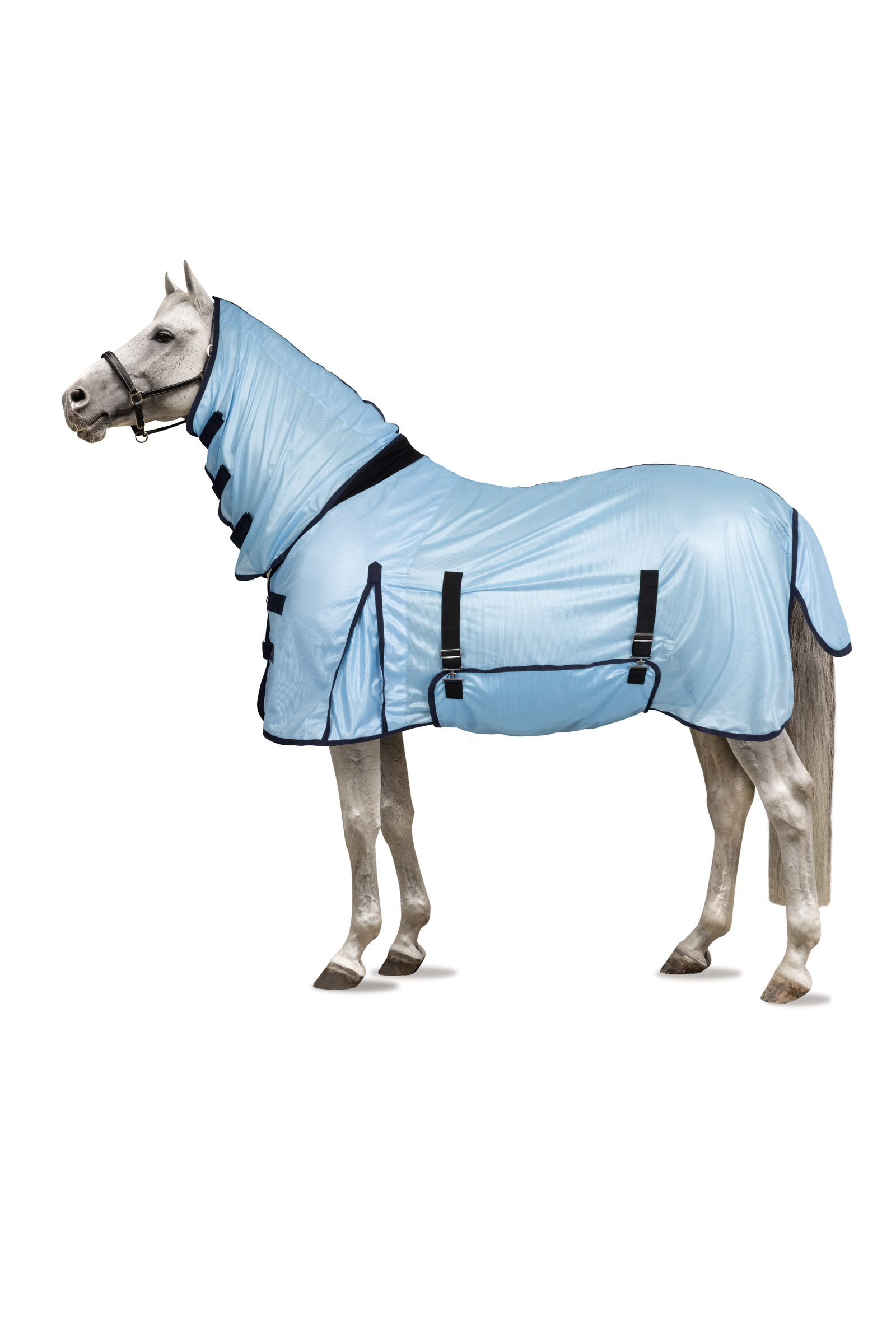 Buy Horze Fly Sheet With Neck And Belly Guard
