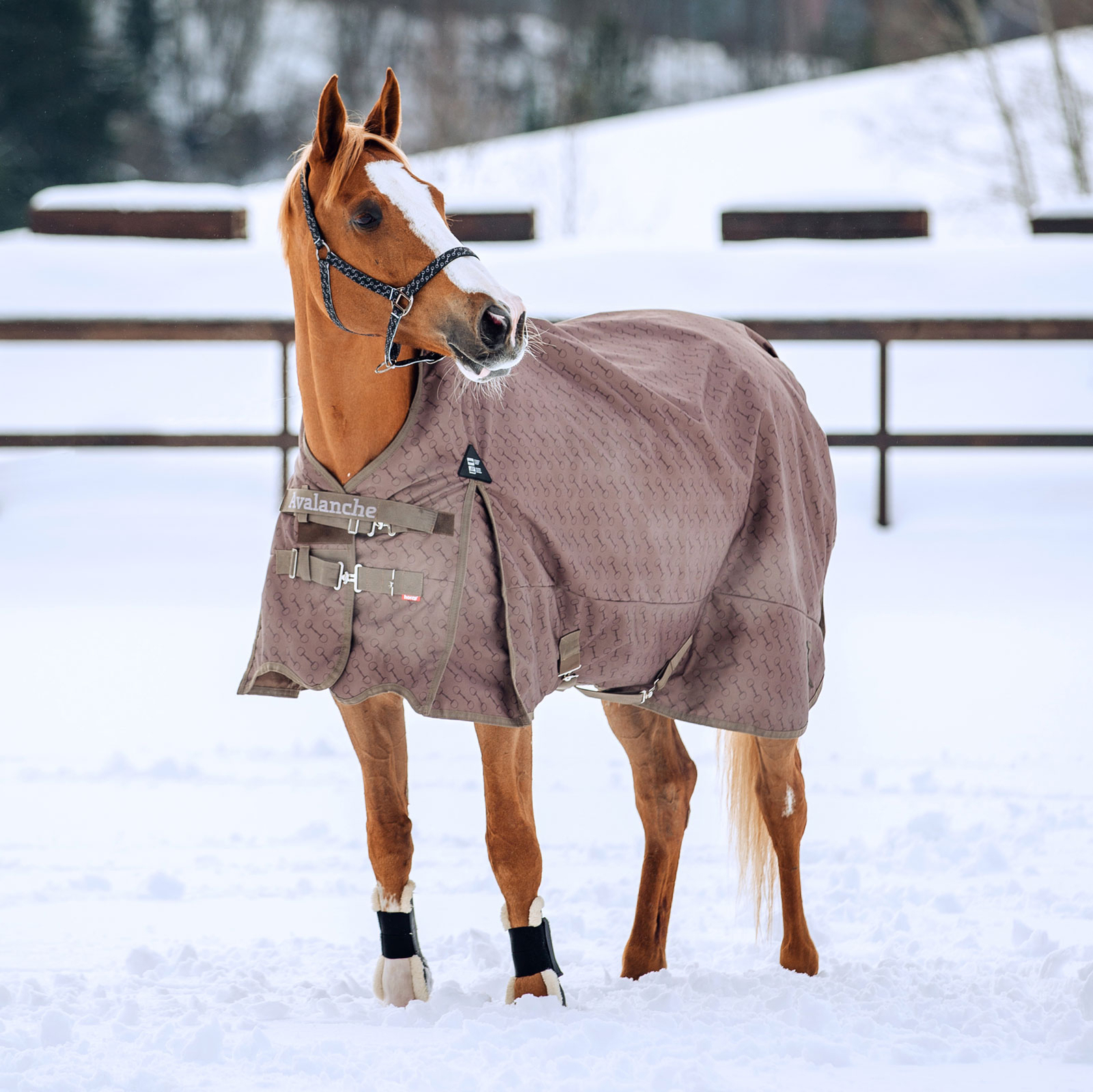 Horze Avalanche 1200 Denier Snaffle Bit High Neck Fleece Lined