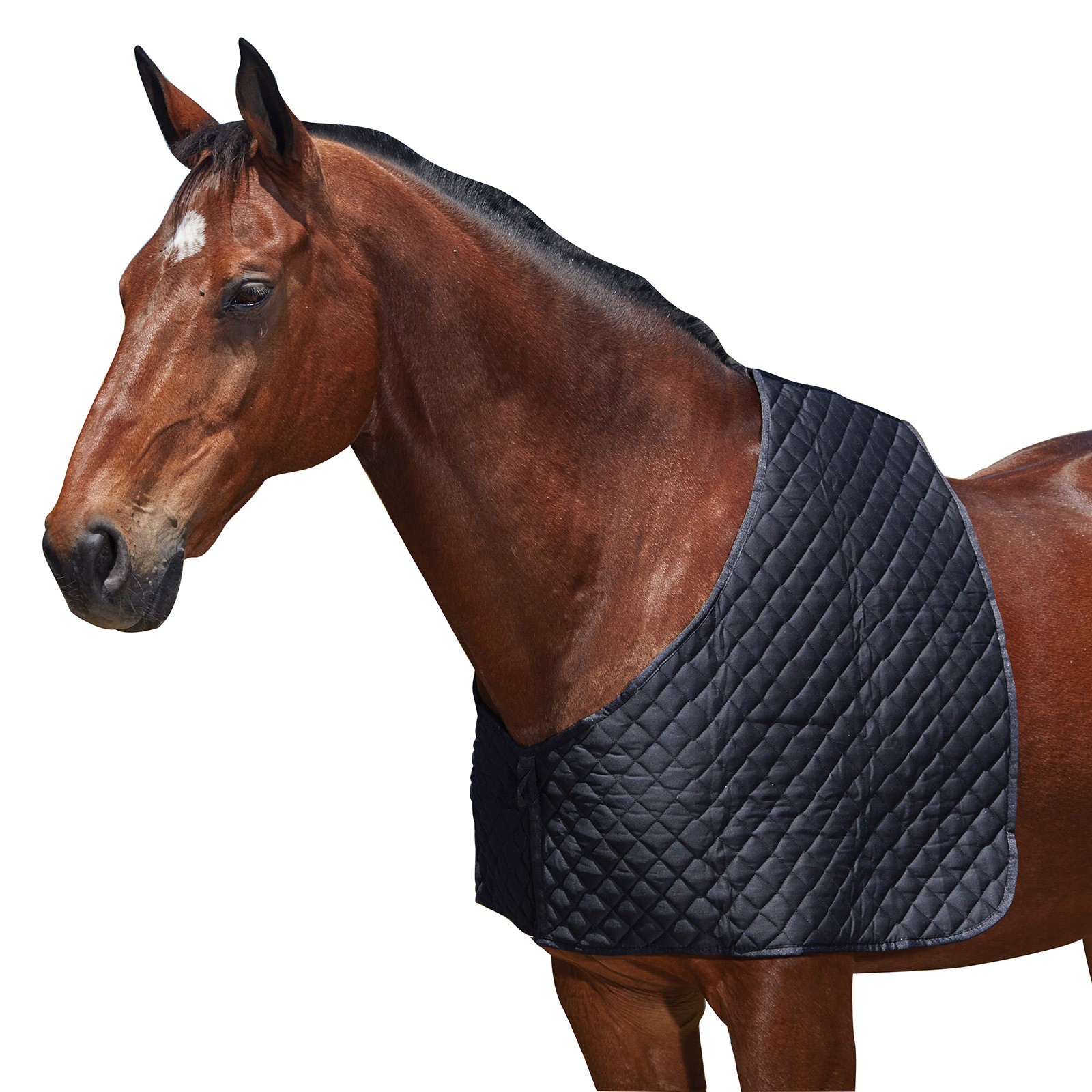 Therapeutic Horse Padded Shoulder Guard