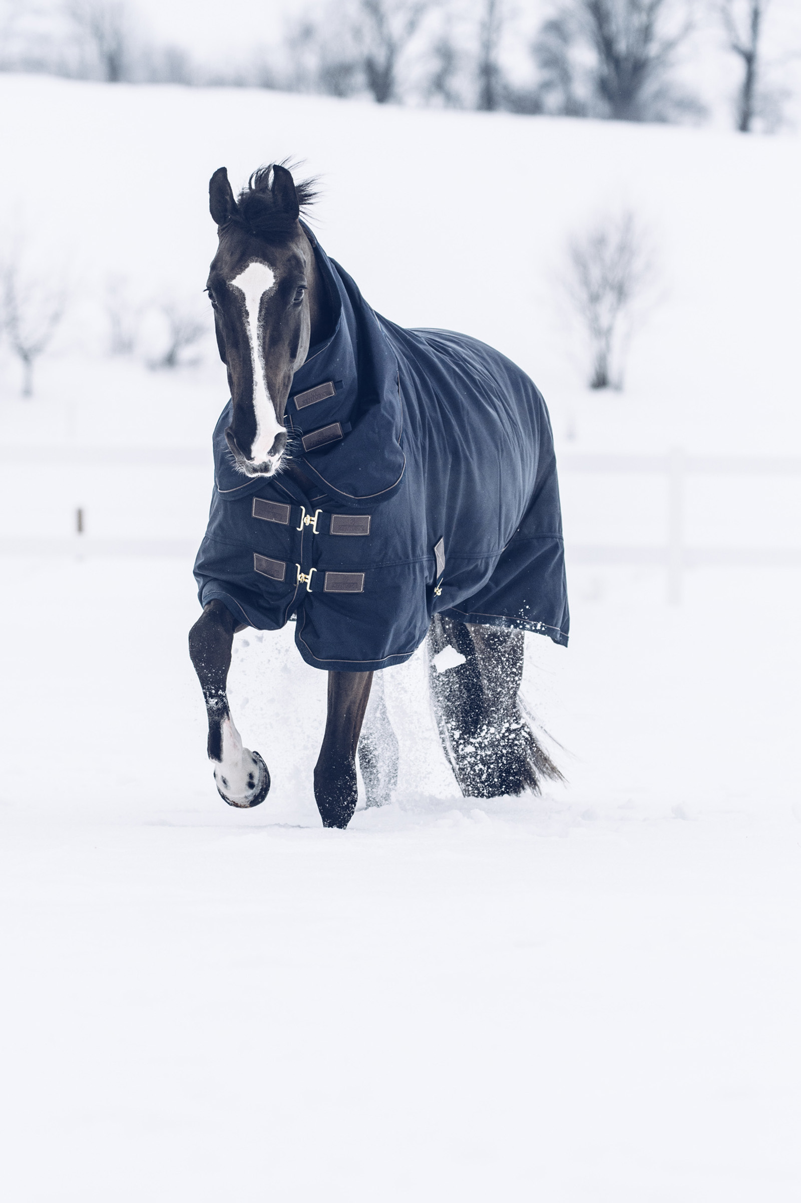 horse turnout blanket, horse rug, horse clothes, winter horse coat