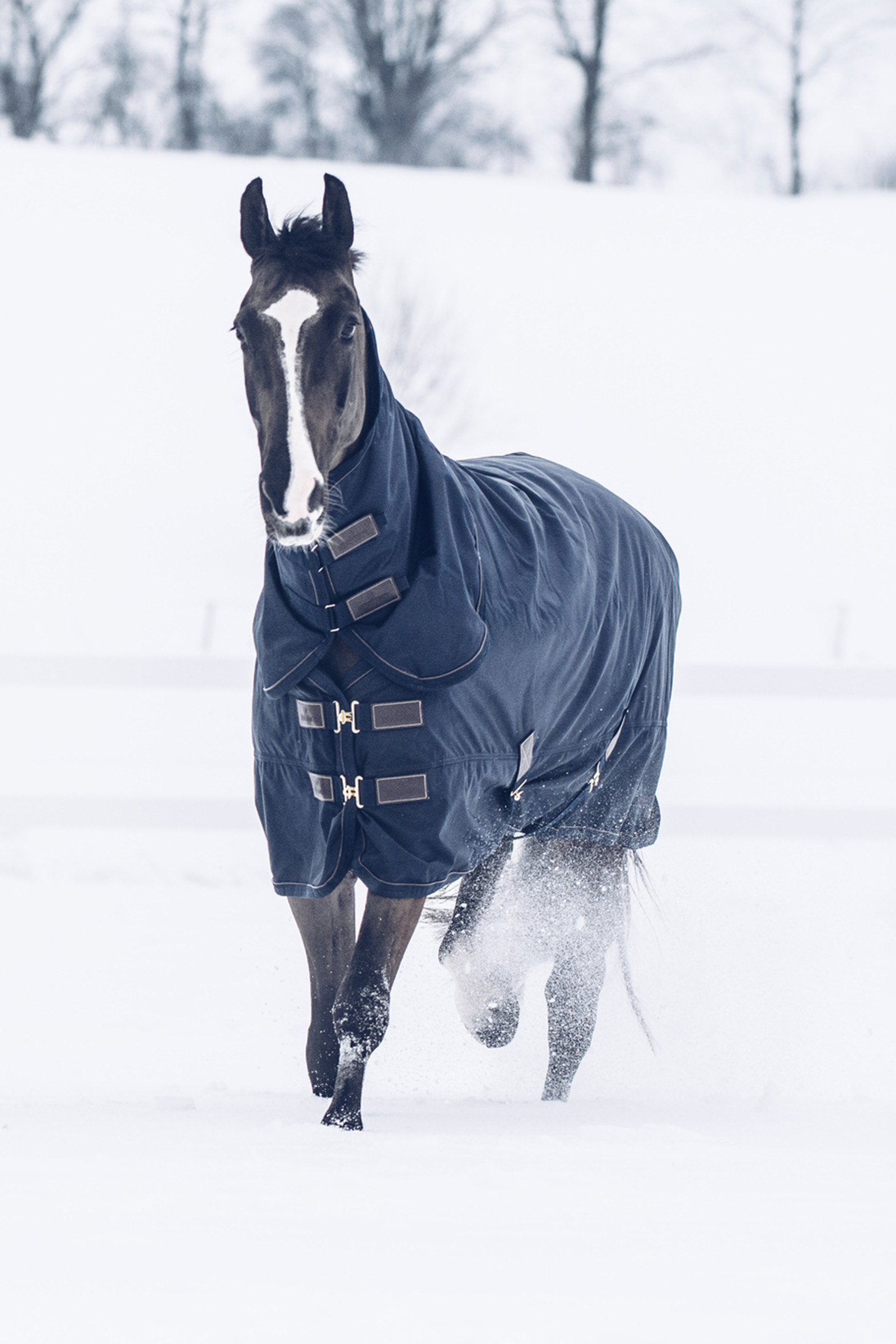 Turnout Rug All Weather 300g couverture extérieur chevaux Kentucky -  KENTUCKY HORSEWEAR - Couverture cheval exterieur 